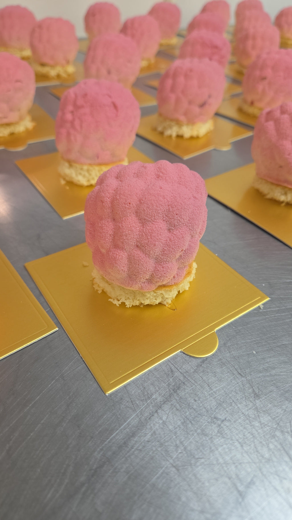Fruit Entremet Duo (2 Pack)